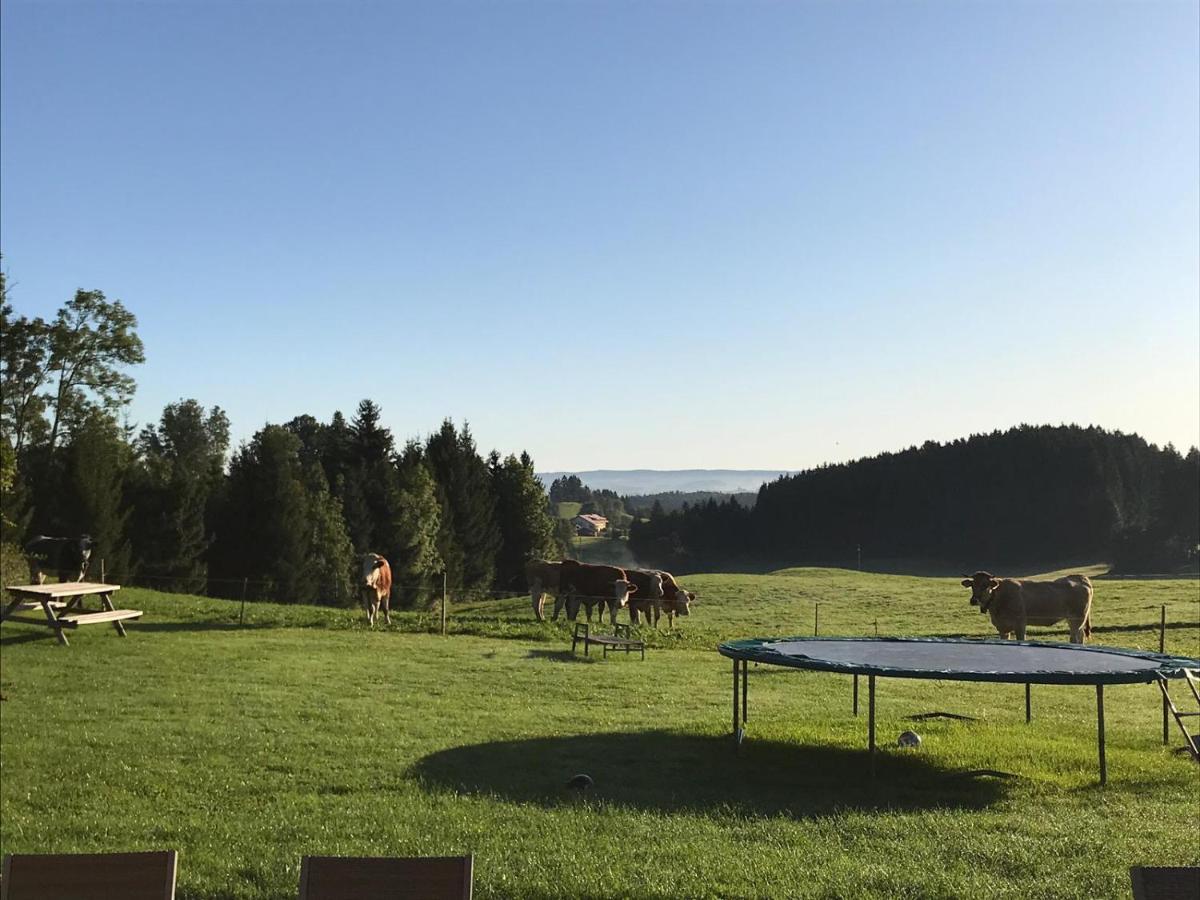 Gmeinder'S Landhaus Immenstadt im Allgäu Exterior foto